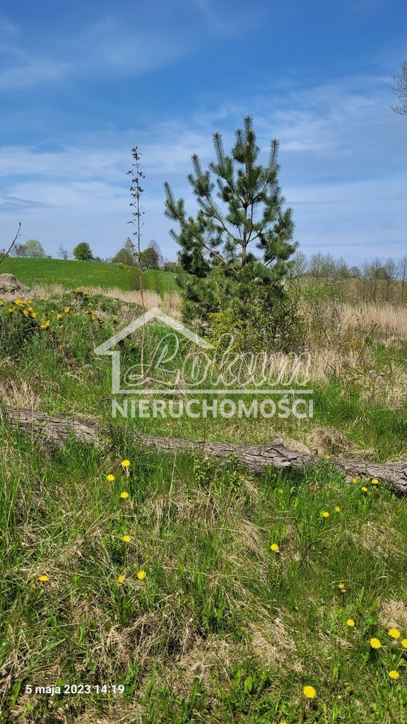 Działka rolna 3030&nbsp;m², Zieleniewo - zdjęcie 3