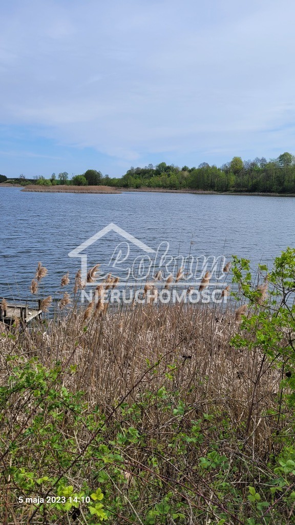 Działka rolna 3030&nbsp;m², Zieleniewo - zdjęcie 4