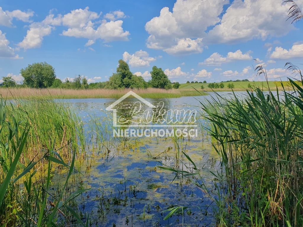 Działka rolna 3030&nbsp;m², Zieleniewo - zdjęcie 1