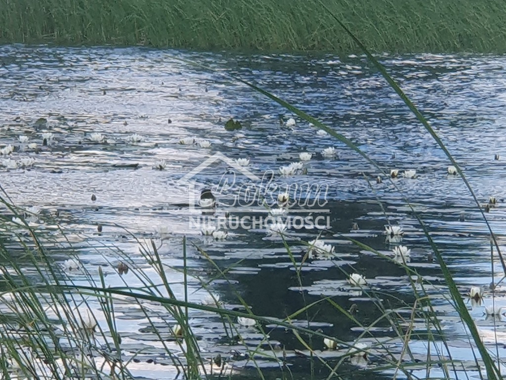 Działka rolna 3030&nbsp;m², Zieleniewo - zdjęcie 5