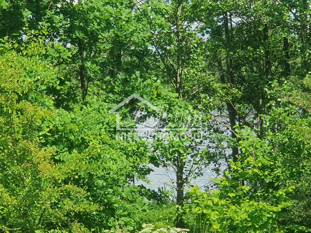 Działka rolna 3030&nbsp;m², Zieleniewo - zdjęcie 8