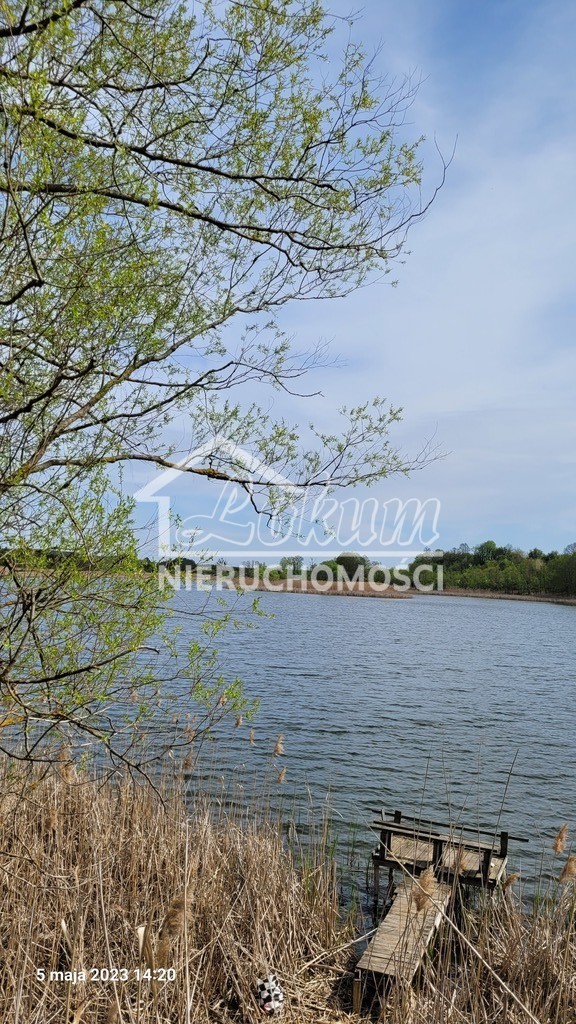 Działka rolna 3138&nbsp;m², Zieleniewo - zdjęcie 6