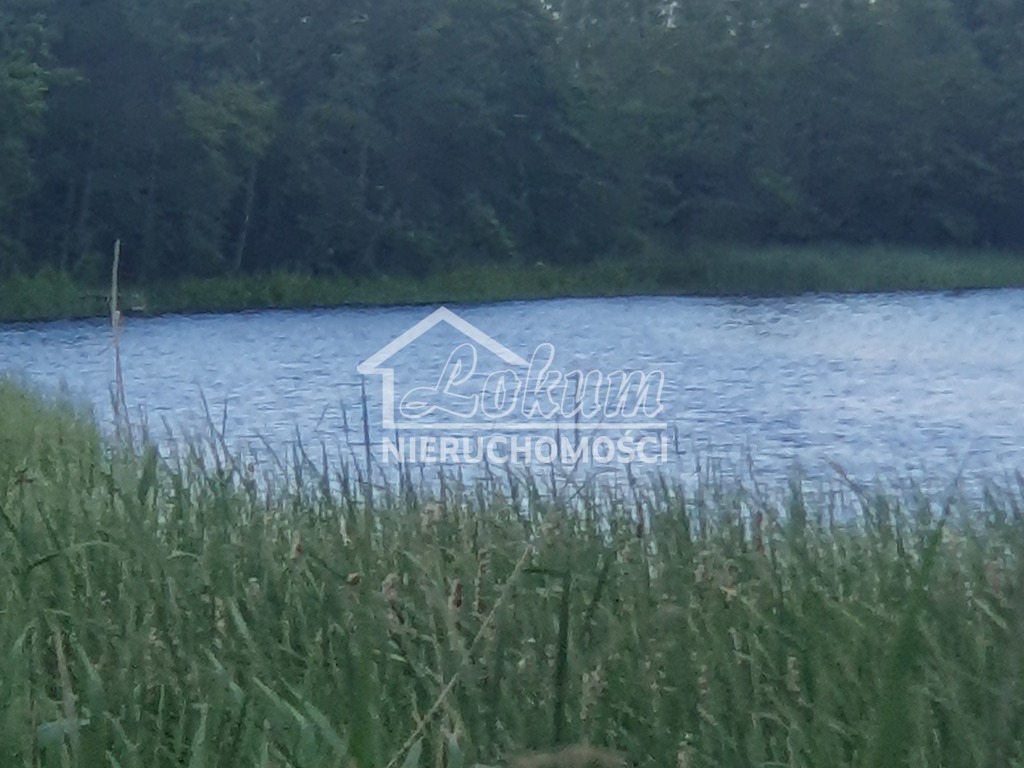 Działka rolna 3138&nbsp;m², Zieleniewo - zdjęcie 1