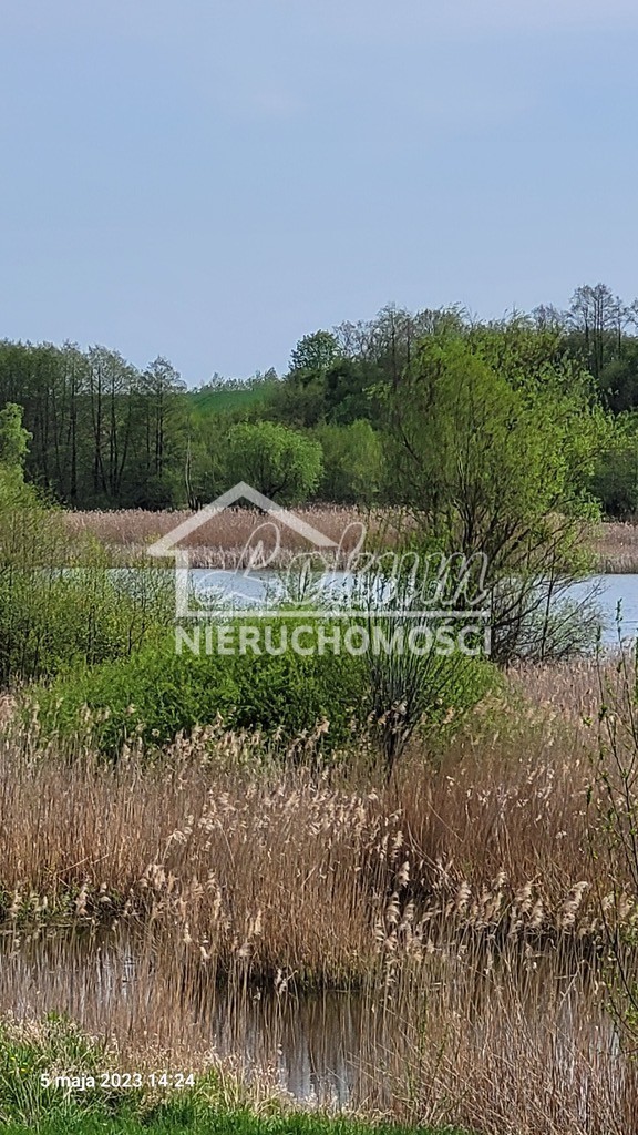 Działka rolna 3030&nbsp;m², Zieleniewo - zdjęcie 7