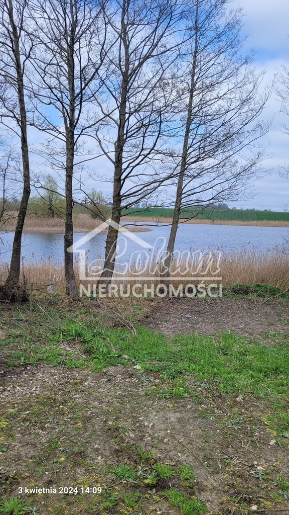 Działka rolna 3030 m², Zieleniewo - zdjęcie 2