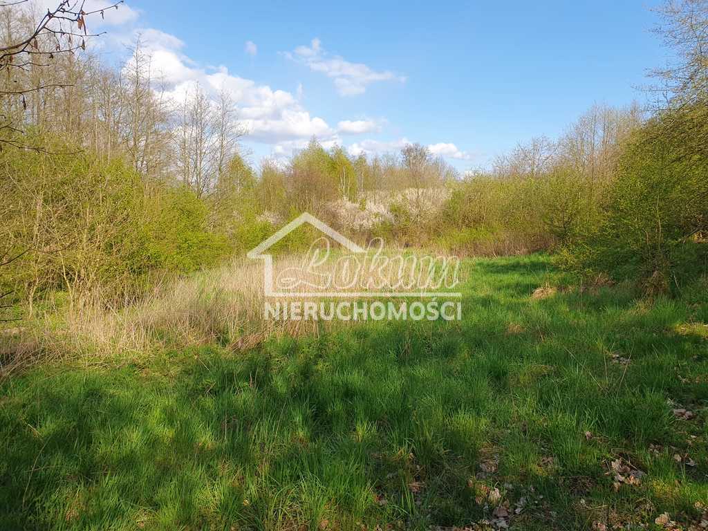 Działka rolna 3030&nbsp;m², Zieleniewo - zdjęcie 8