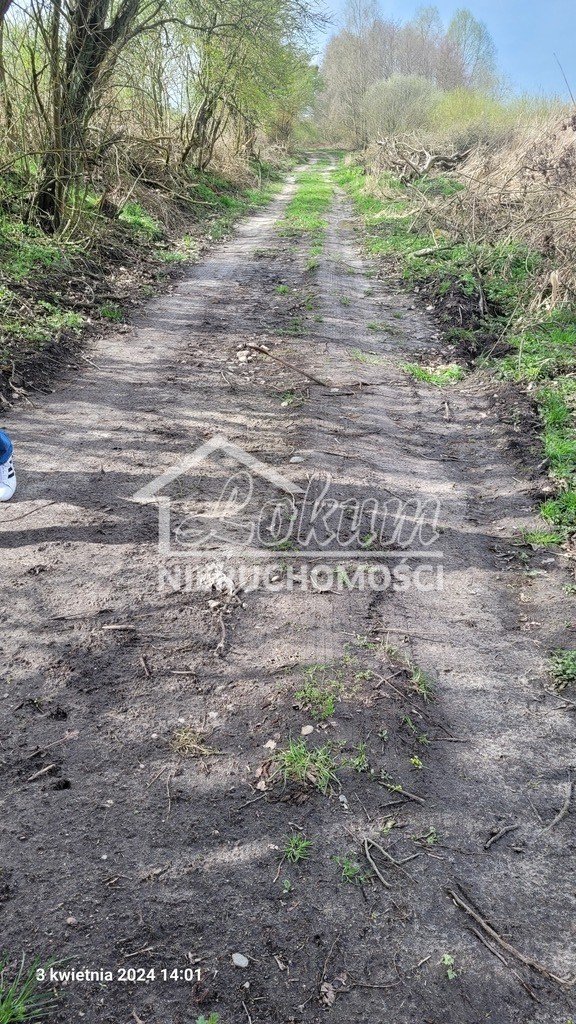 Działka rolna 3030&nbsp;m², Zieleniewo - zdjęcie 6