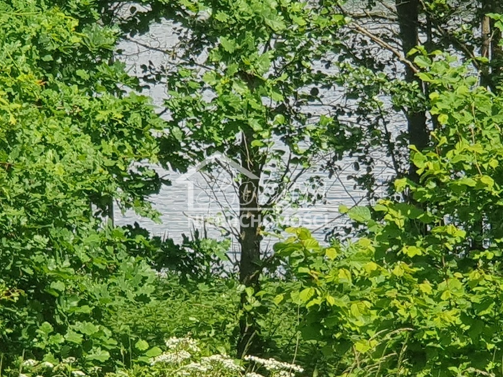 Działka rolna 3030&nbsp;m², Zieleniewo - zdjęcie 5