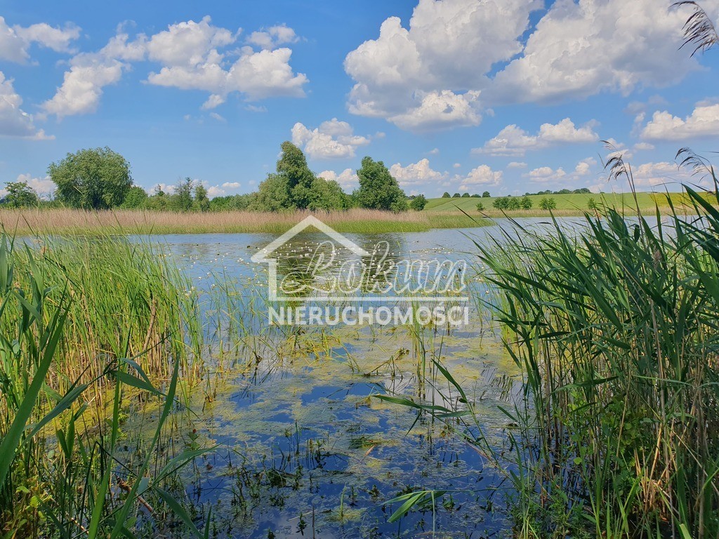 Działka rolna 3030&nbsp;m², Zieleniewo - zdjęcie 3