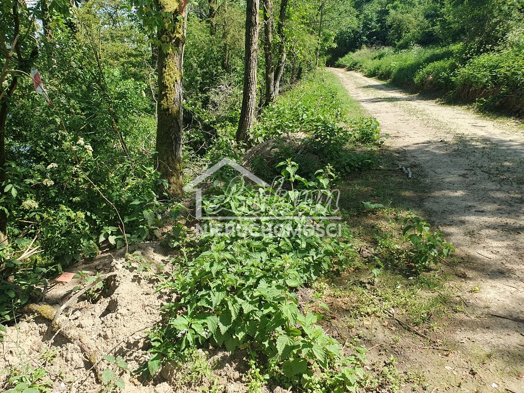 Działka rolna 3030&nbsp;m², Zieleniewo - zdjęcie 4