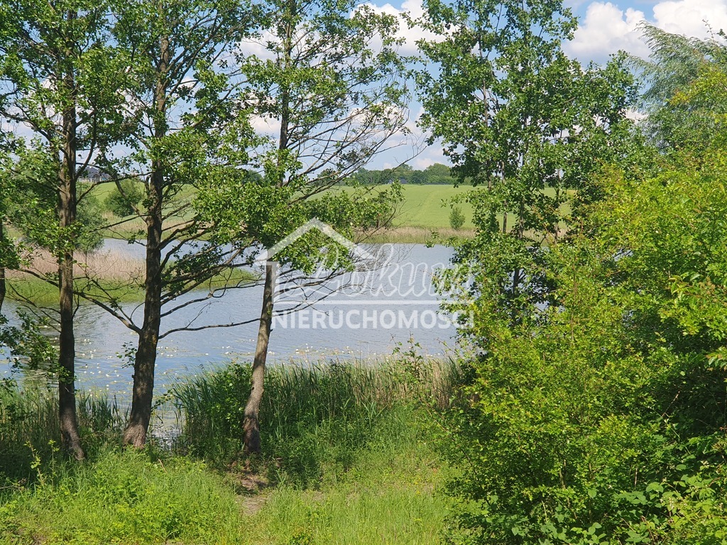 Działka rolna 3030&nbsp;m², Zieleniewo - zdjęcie 2