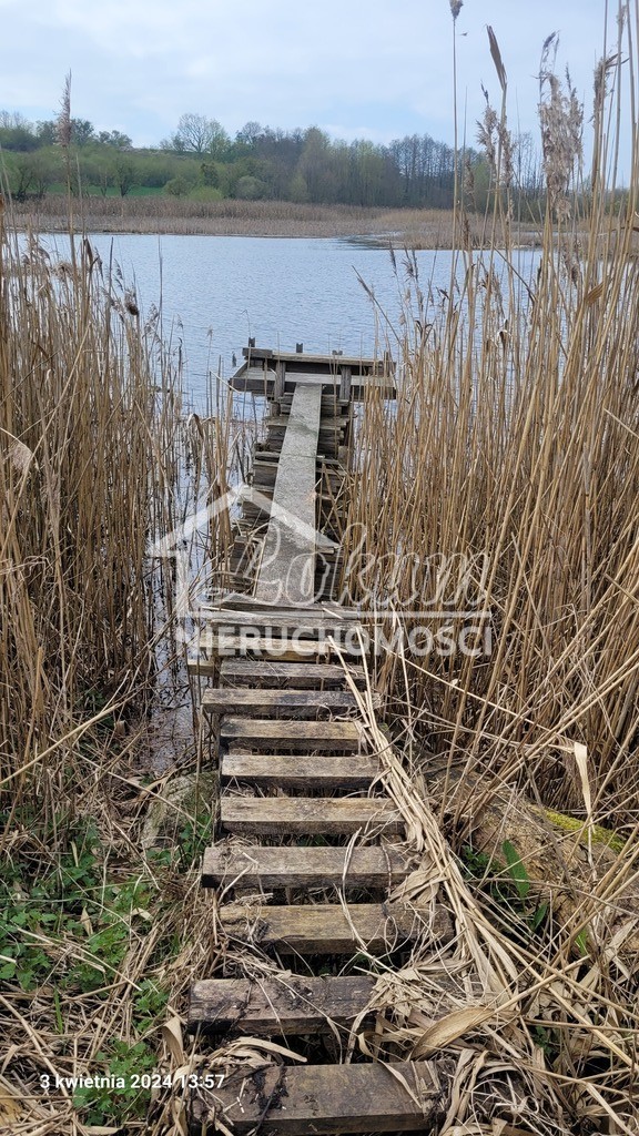 Działka rolna 3030&nbsp;m², Zieleniewo - zdjęcie 5