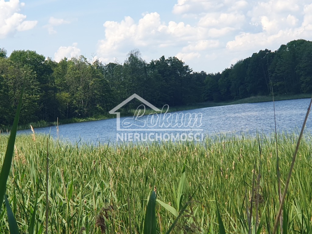 Działka rolna 3030&nbsp;m², Zieleniewo - zdjęcie 1