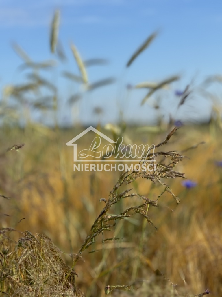 Działka inwestycyjna 2948 m², Goleniów - zdjęcie 4