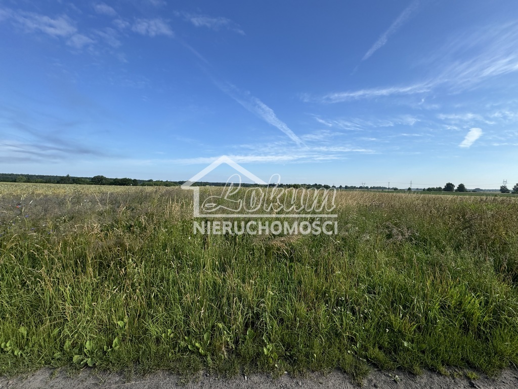 Działka inwestycyjna 2948 m², Goleniów - zdjęcie 3