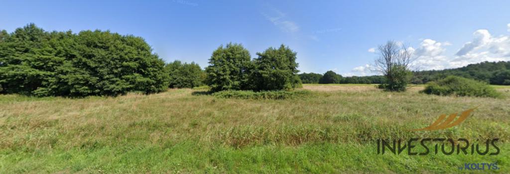 Pilne/Dwie Działki nad morzem/Zieleń/2381m2/ - zdjęcie 5