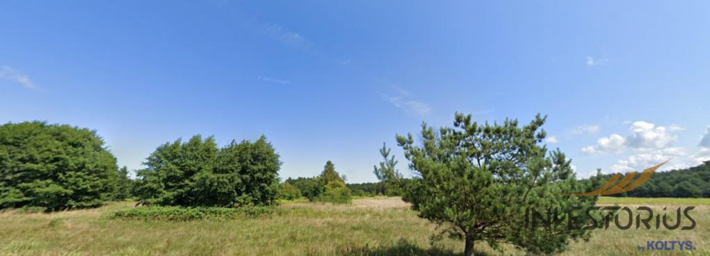 Pilne/Dwie Działki nad morzem/Zieleń/2381m2/ - zdjęcie 6