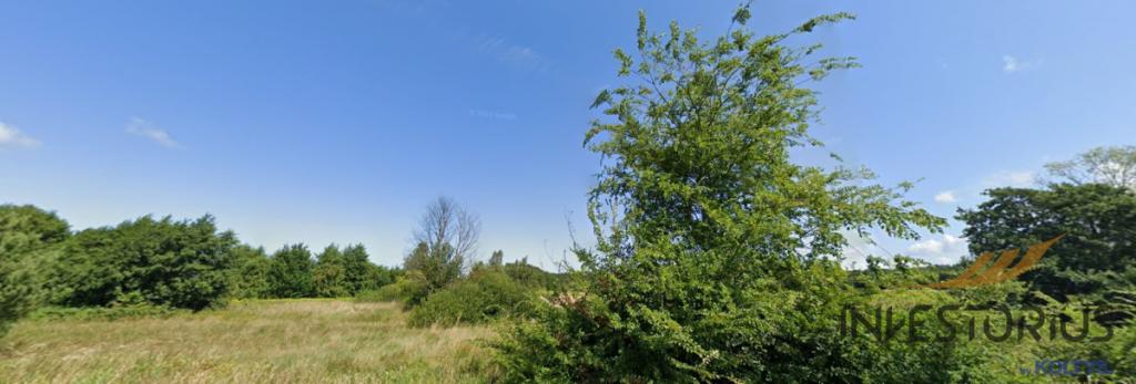 Pilne/Dwie Działki nad morzem/Zieleń/2381m2/ - zdjęcie 3