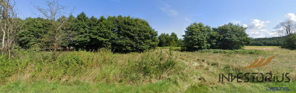 Pilne/Dwie Działki nad morzem/Zieleń/2381m2/ - zdjęcie 4