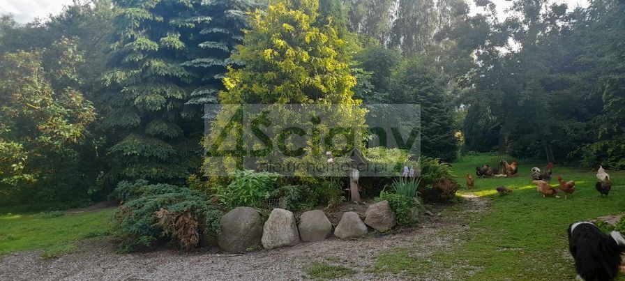 Dom 450&nbsp;m², Praslity - zdjęcie 3