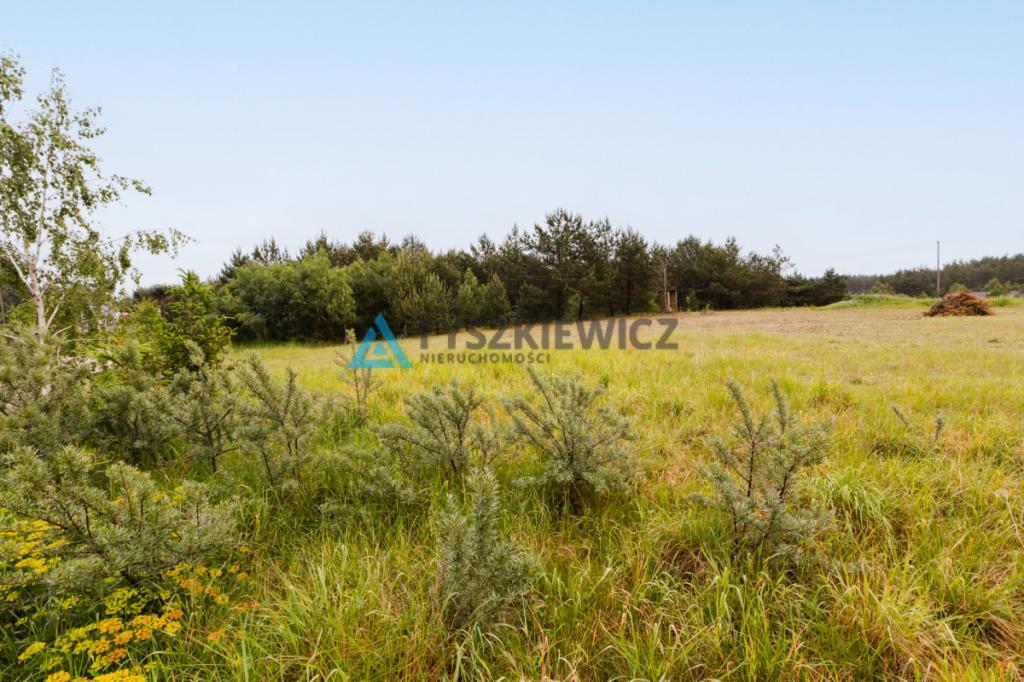 Atrakcyjna działka w Nowej Kiszewie! - zdjęcie 3