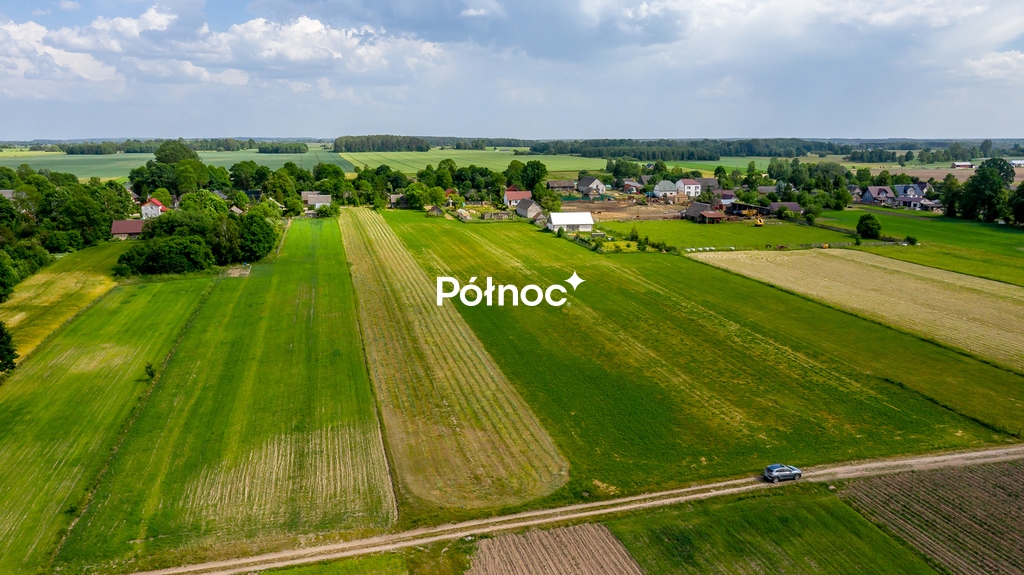 Działka rolna 6334&nbsp;m², Rafałówka - zdjęcie 3