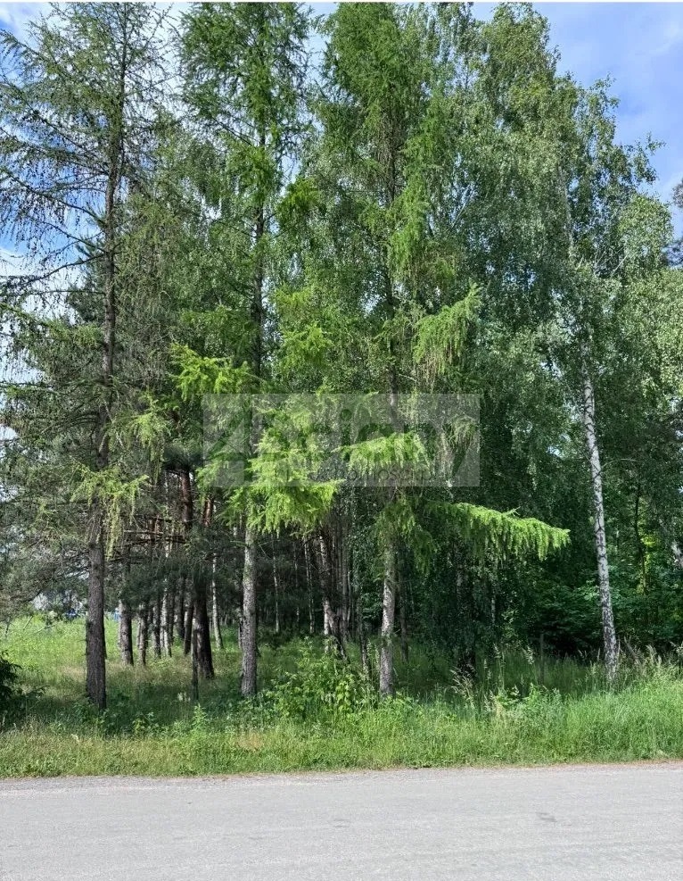 Działka budowlana 1520&nbsp;m², Stara Wieś - zdjęcie 4