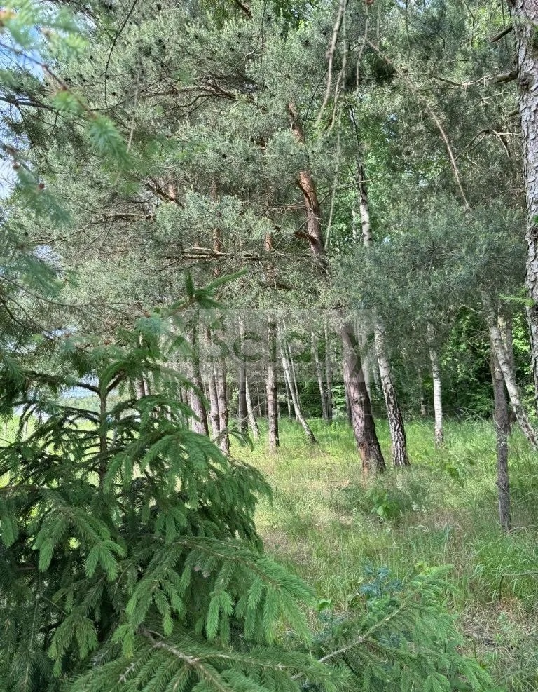 Działka budowlana 1520&nbsp;m², Stara Wieś - zdjęcie 1
