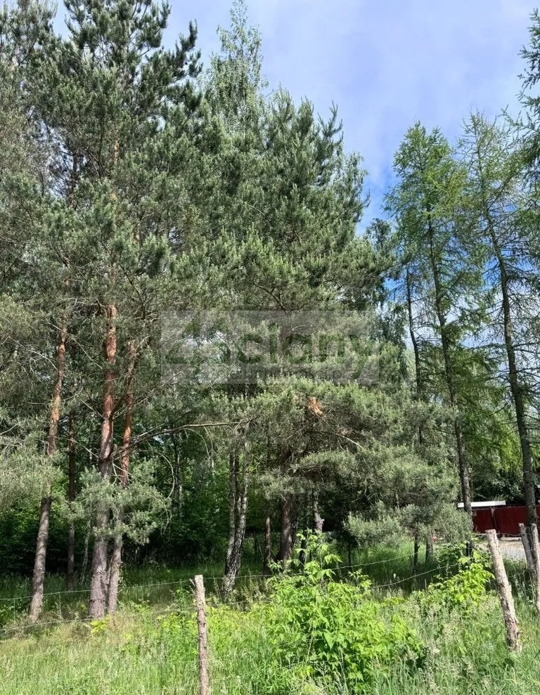 Działka budowlana 1520&nbsp;m², Stara Wieś - zdjęcie 3