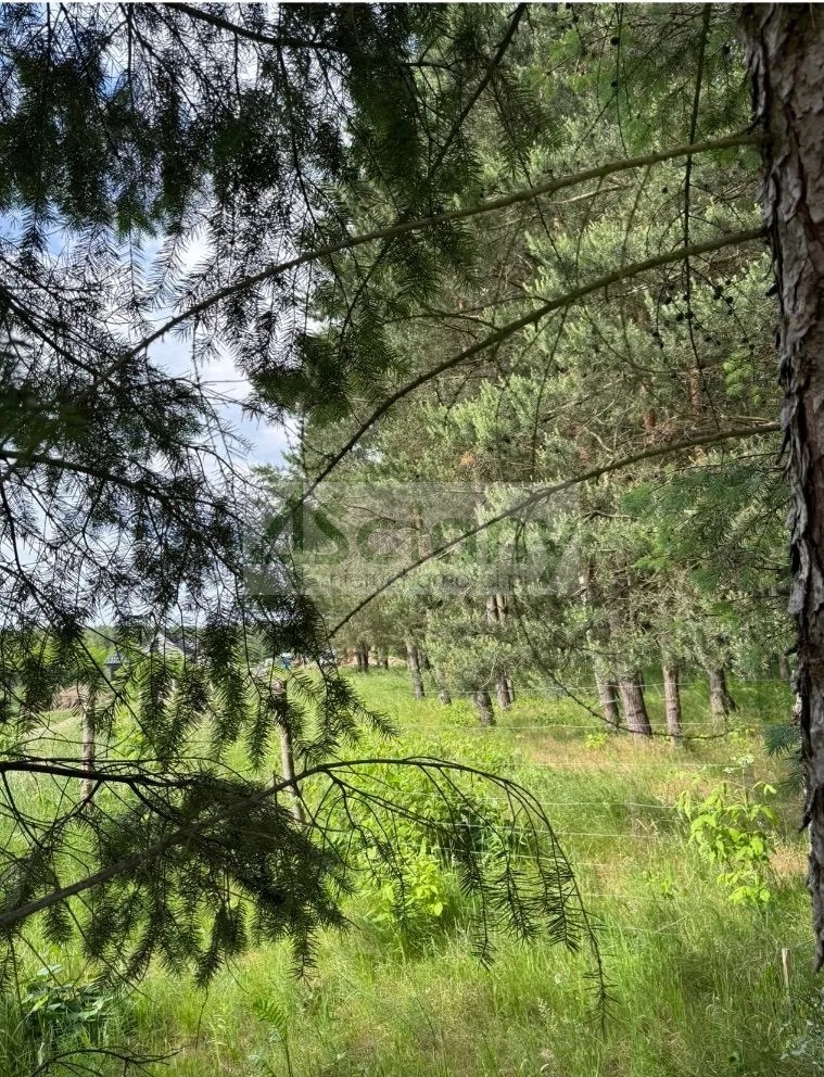 Działka budowlana 1520&nbsp;m², Stara Wieś - zdjęcie 2