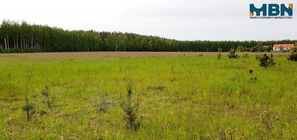 Działka inwestycyjna 1950 m², Rydzewo - zdjęcie 11