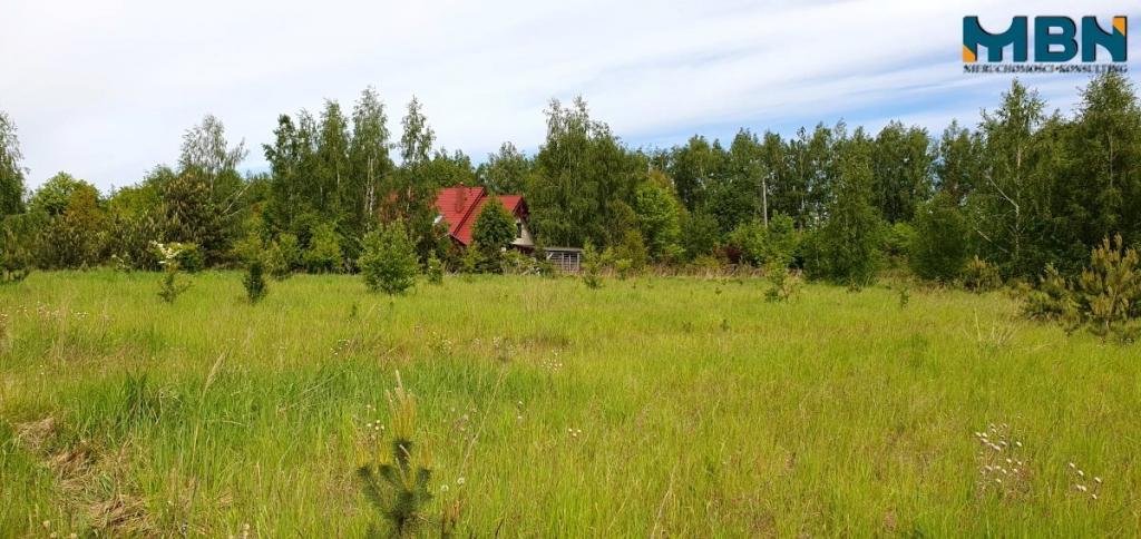 Działka inwestycyjna 1950 m², Rydzewo - zdjęcie 7
