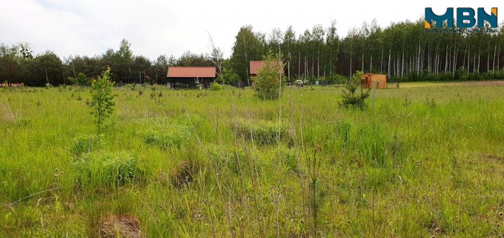 Działka inwestycyjna 1950 m², Rydzewo - zdjęcie 10