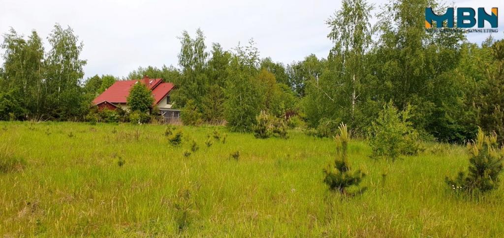 Działka inwestycyjna 1950 m², Rydzewo - zdjęcie 9