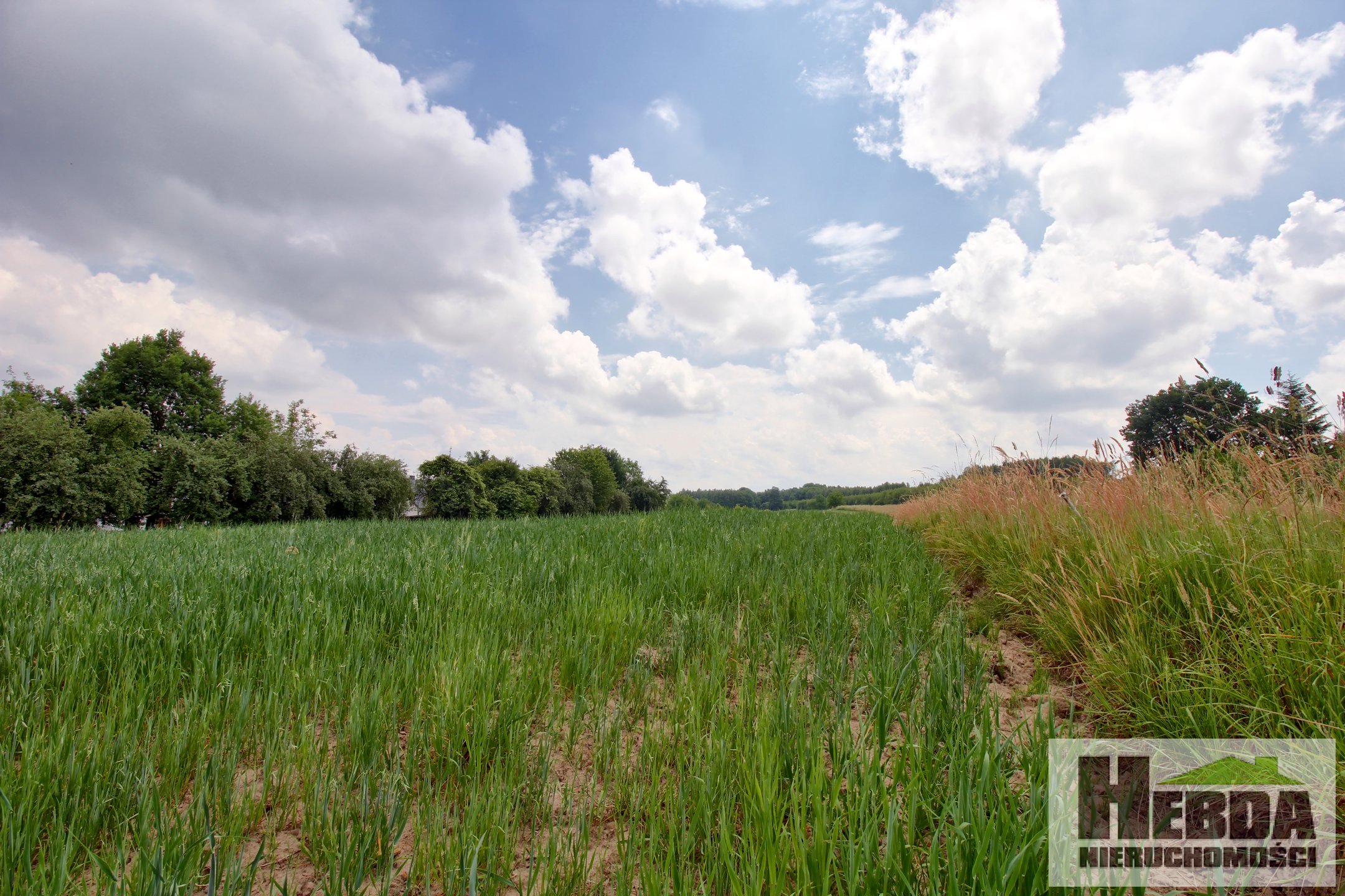 Na sprzedaż działka budowlana, 13,88 ara, Pilzno - zdjęcie 2