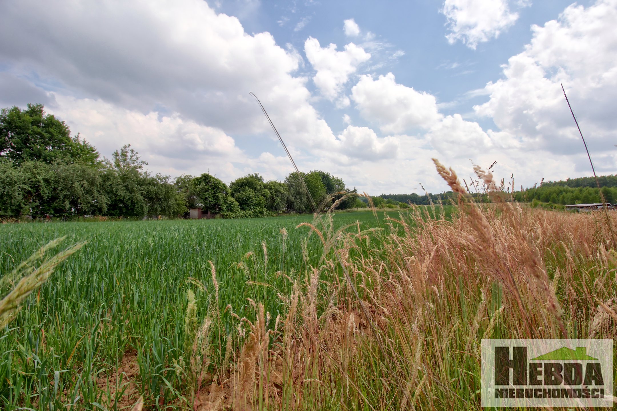 Na sprzedaż działka budowlana, 13,88 ara, Pilzno - zdjęcie 3