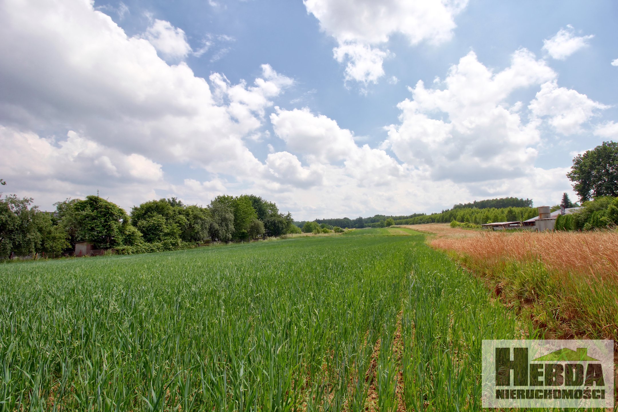 Na sprzedaż działka budowlana, 14,5 ara, Pilzno - zdjęcie 2