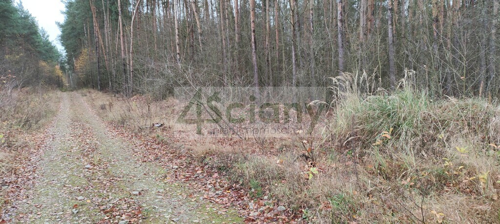 Działka rekreacyjna 1,10 ha, Wycześniak - zdjęcie 6