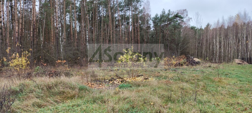 Działka rekreacyjna 1,10 ha, Wycześniak - zdjęcie 3