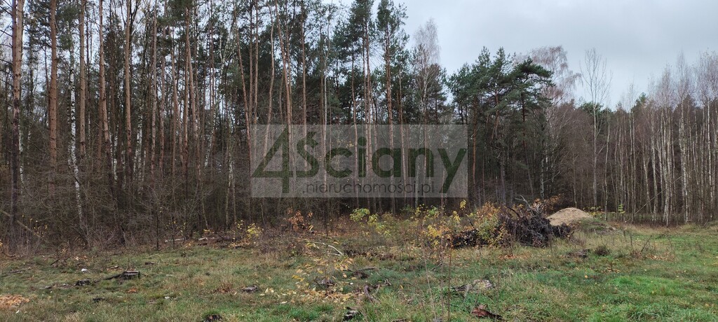 Działka rekreacyjna 1,10 ha, Wycześniak - zdjęcie 11