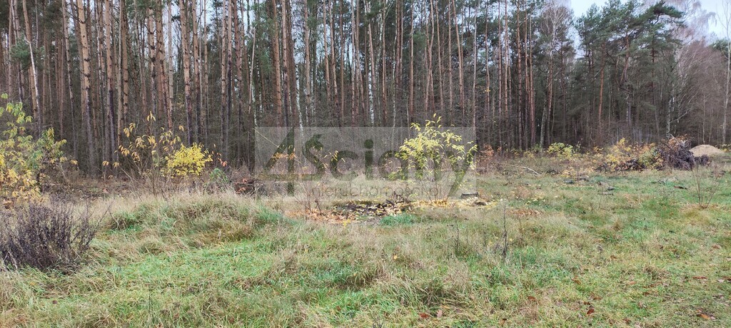 Działka rekreacyjna 1,10 ha, Wycześniak - zdjęcie 2