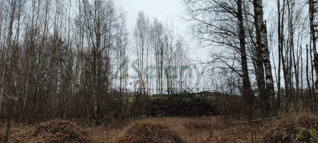Działka rekreacyjna 1,10 ha, Wycześniak - zdjęcie 10