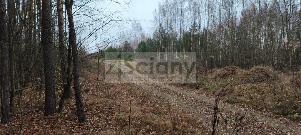 Działka rekreacyjna 1,10 ha, Wycześniak - zdjęcie 9