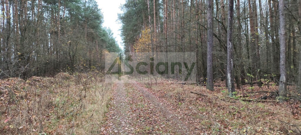 Działka rekreacyjna 1,10 ha, Wycześniak - zdjęcie 8
