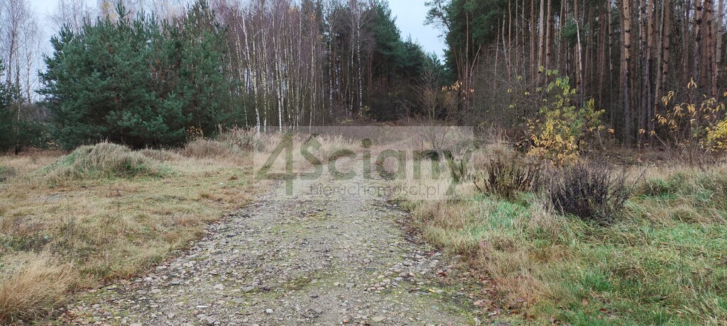 Działka rekreacyjna 1,10 ha, Wycześniak - zdjęcie 1