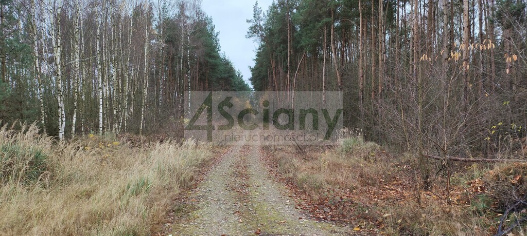 Działka rekreacyjna 1,10 ha, Wycześniak - zdjęcie 4