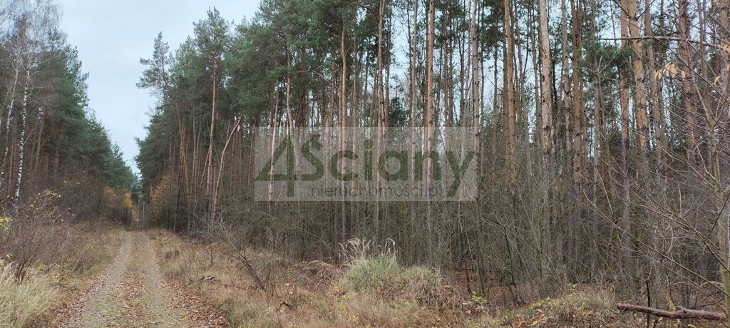 Działka rekreacyjna 1,10 ha, Wycześniak - zdjęcie 5