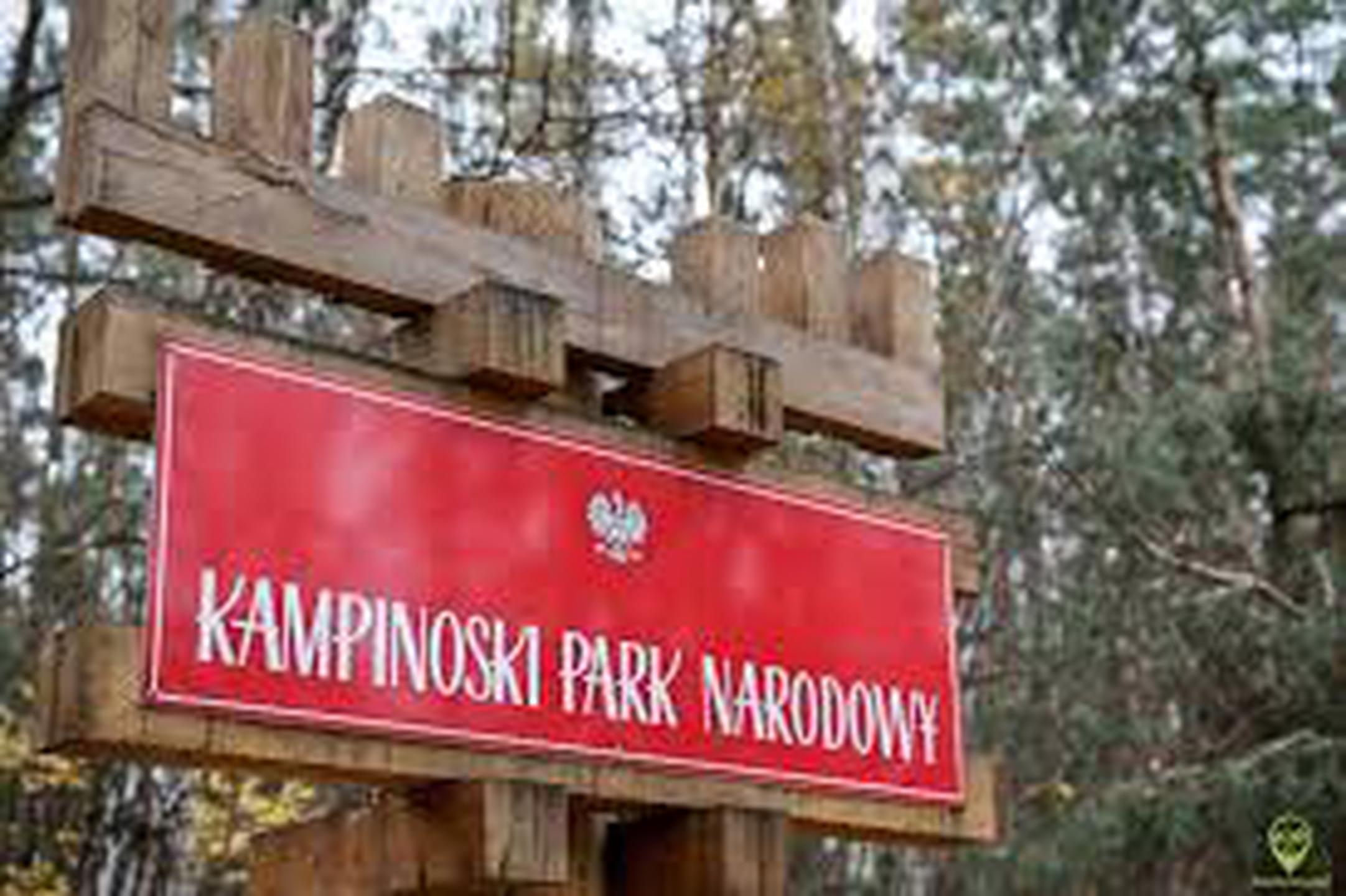 Truskaw działka 1000 m2 - zdjęcie 4