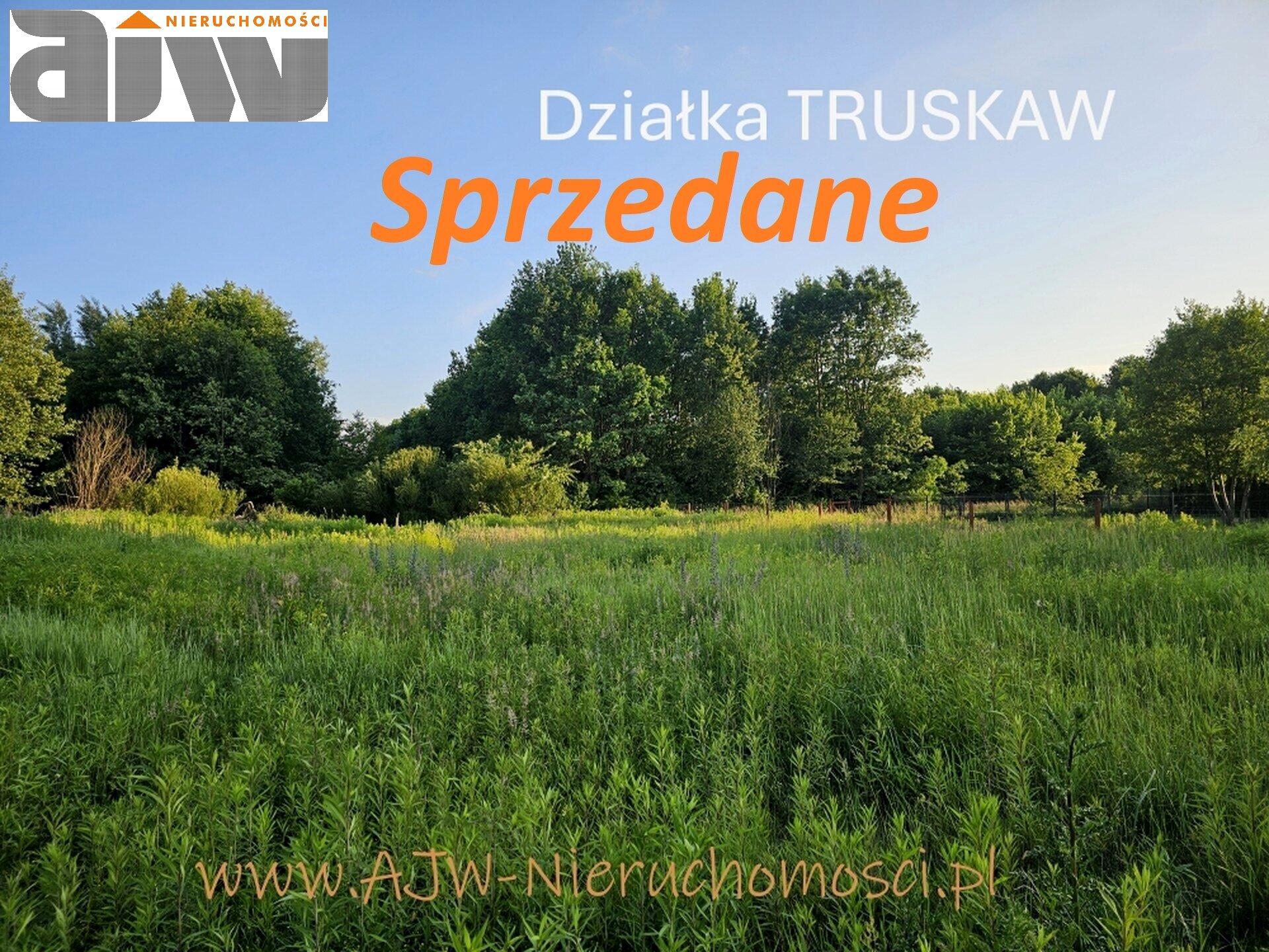 Truskaw działka 1000 m2 - zdjęcie 1
