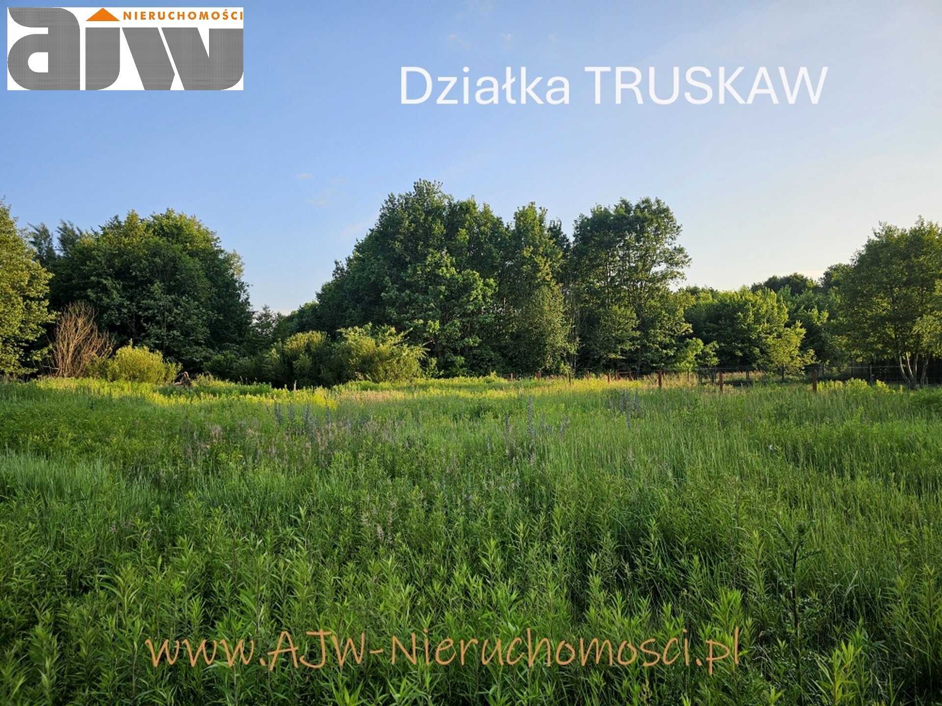 Truskaw działka 1000 m2 - zdjęcie 2